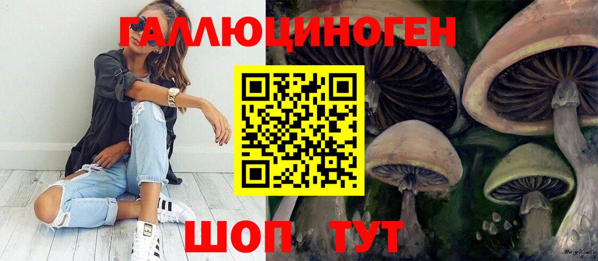 Серпухов  Галлюциногенные грибы Psilocybine cubensis  Вход с VPN  Псилоцибиновые грибы MAGIC MUSHROOMS 
