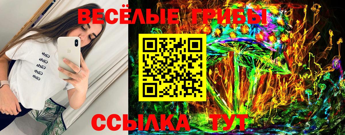 Псилоцибиновые грибы мухоморы Серпухов